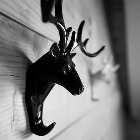 Mit Indoorrutschbahn By Interhome Appartamento