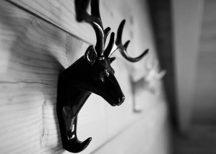 Mit Indoorrutschbahn By Interhome 아파트